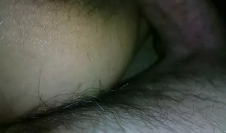 تعطیلات عكس كس الكسيس تابستانی در کشور