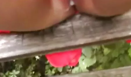 زن و شوهر بازی عکس سکسی کوس گشاد های جنسی در گوشه های مختلف خانه