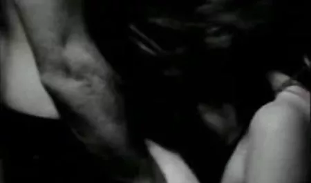 گربه سفید سفید عکس کس کون خفن گربه در بردگی مقعد سیاه