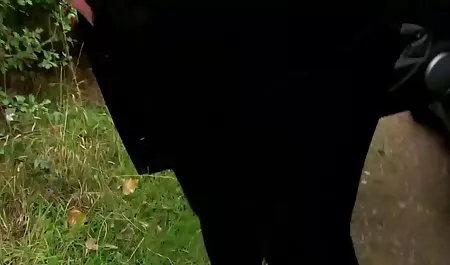 زن جوانی که سکس کسزیبا حاضر است همه چیز را بدهد