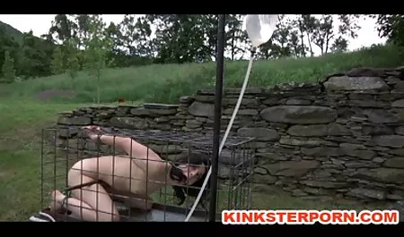 آندره اسپینکس عكس كير در كس و دو عضو